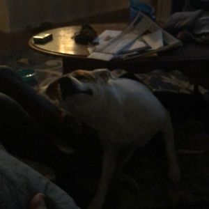 Meet your Posher, Tracy